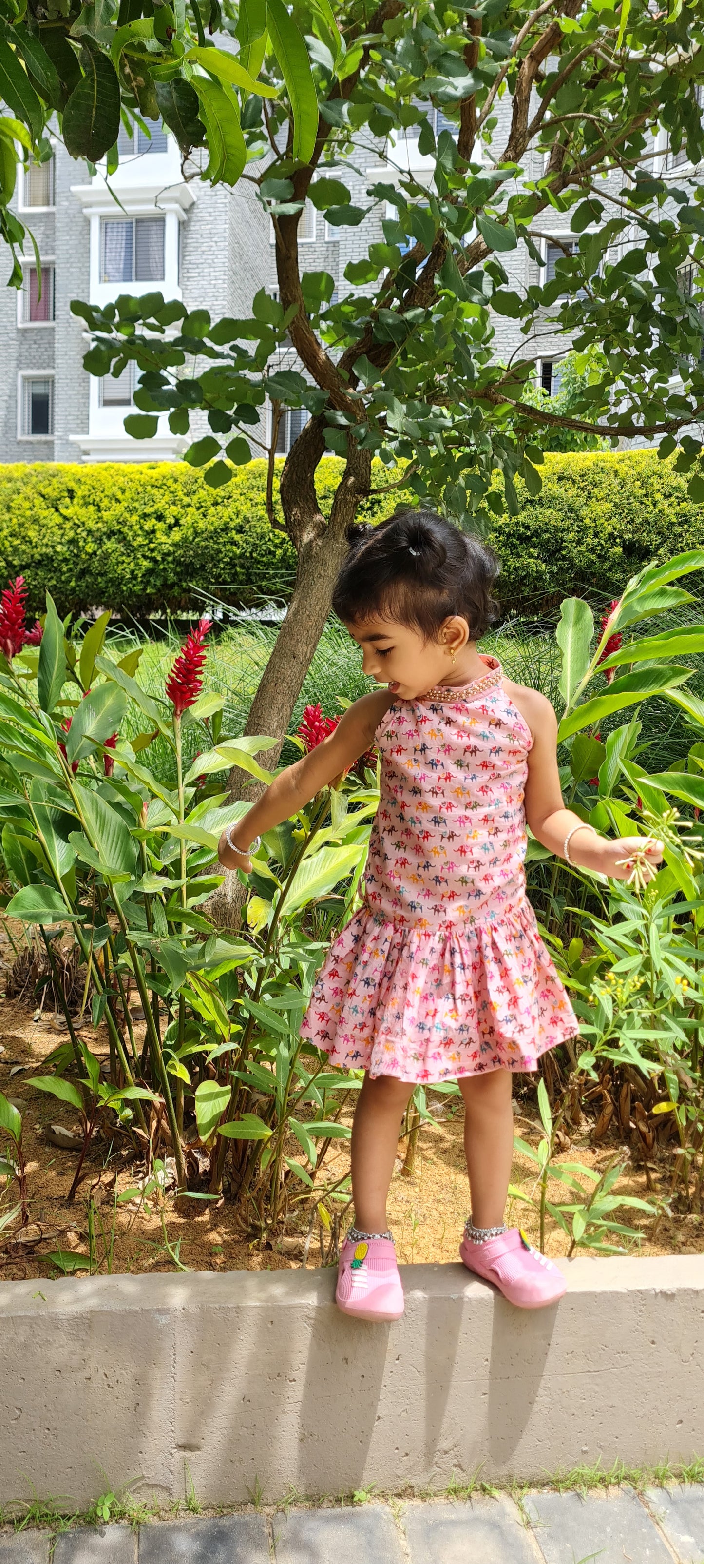 Delightful Pink Halter Neck Frock